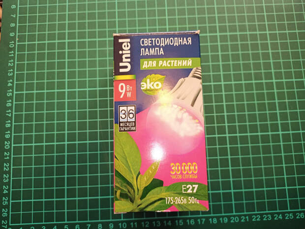 Микро-зелень дома. Редис.