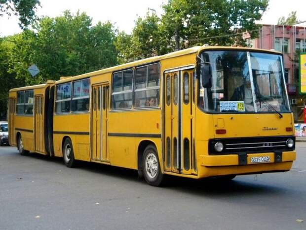 Супергармошка: многосекционный автобус Ikarus 293 Ikarus 293, авто, автобус, автомобили, икарус, общественный транспорт, транспорт