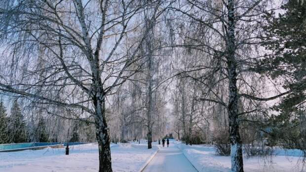 До -15. О погоде в Барнауле 2 марта