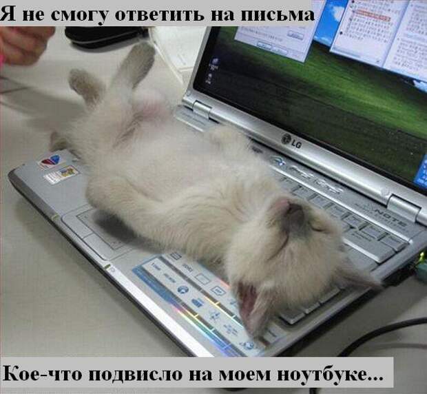 Мысли2 :) (50мыслей)