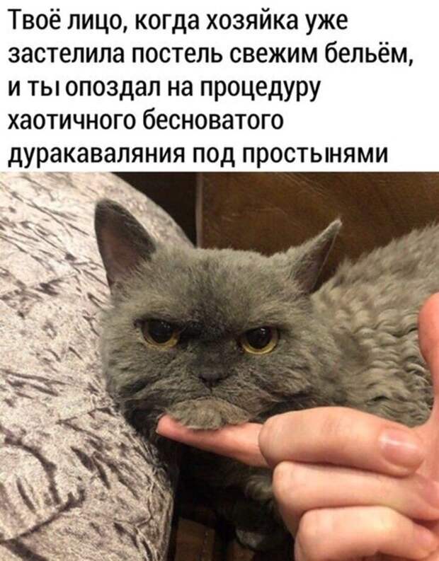 Опоздал