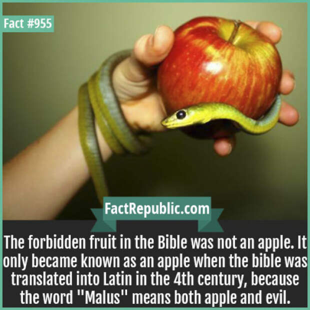 Everyday Life Facts