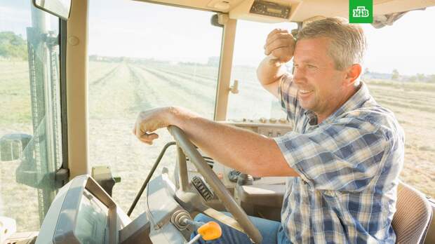 Роспотребнадзор призвал сократить рабочий день из-за жары