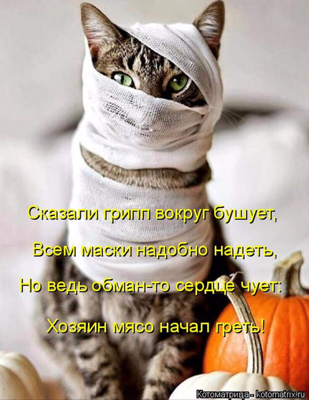 13 (541x700, 362Kb)