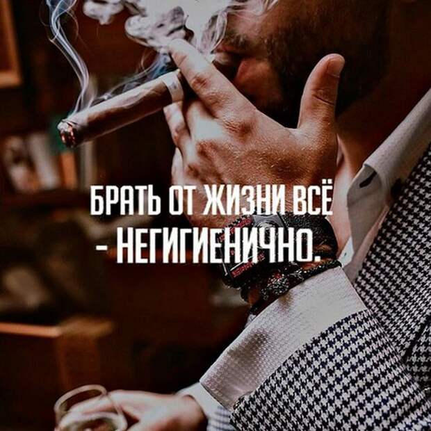 Смешные картинки и веселые фото с надписью со смыслом (11 фото) Смешные картинки и веселые фото с надписью со смыслом (11 фото)