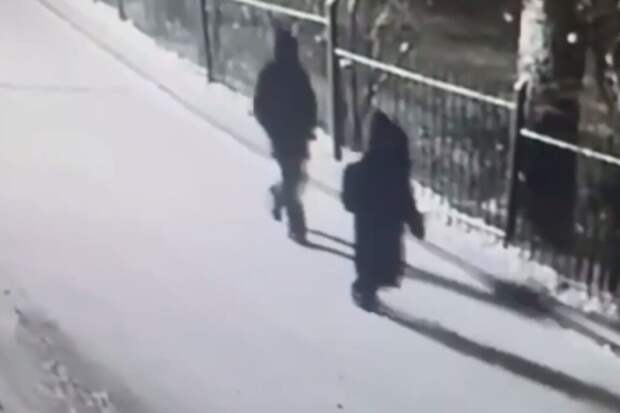 Похищение ребенка в Красноярске может быть мошенничеством