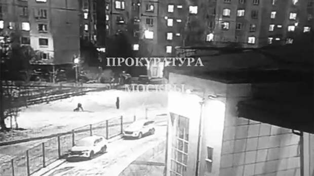 Москвич выстрелил из сигнального пистолета в гуляющих с собаками людей