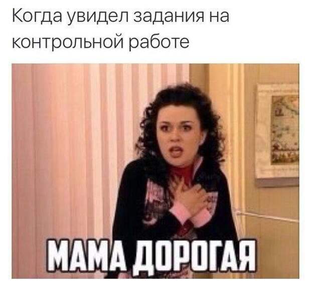 Школьные будни: приколы о годах, проведённых за партой