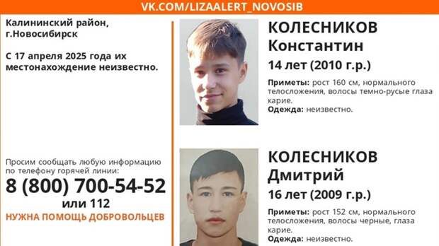 Два мальчика пропали в Новосибирске / Ориентировка: vk.com/lizaalert_novosib