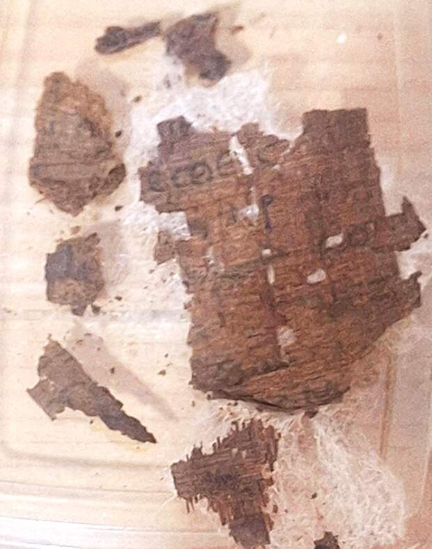 Ученые сделали загадочную находку внутри древнеегипетской мумии