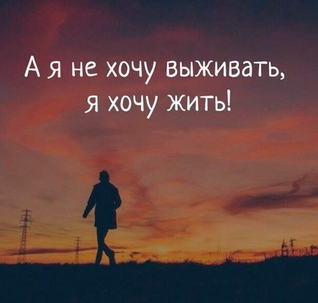 Фото из свободного доступа.