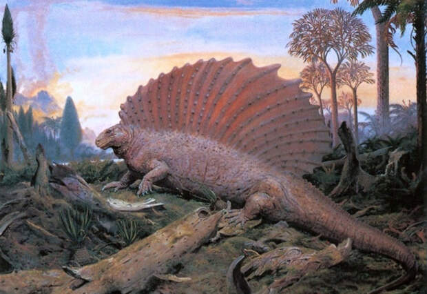 Эдафозавр греется под первыми лучами солнца на берегу пресного водоема