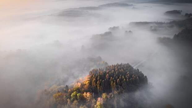 Почему после дождя появляется туман: объяснение для детей и советы родителям