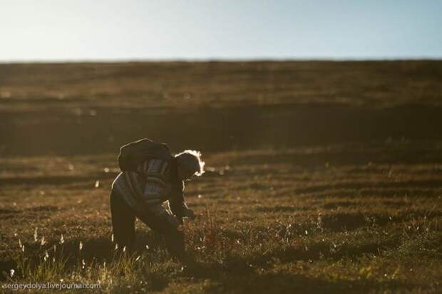 Как живут современные чукчи (29 фото)