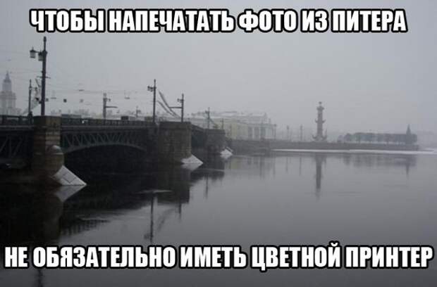 Санкт-Петербург и самые остроумные шутки, которые о нем слагают Санкт-Петербург и самые остроумные шутки, которые о нем слагают