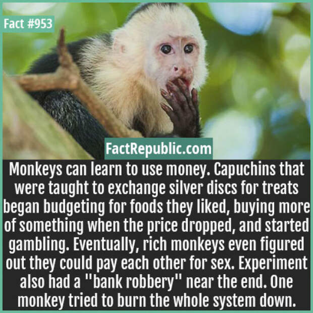 Everyday Life Facts