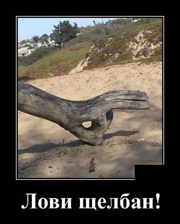 www.vsyako.net