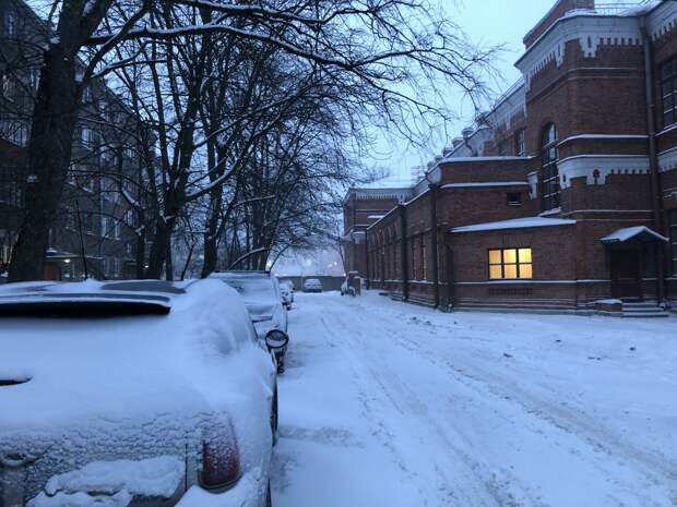 Февраль восстановил снежный покров в Петербурге