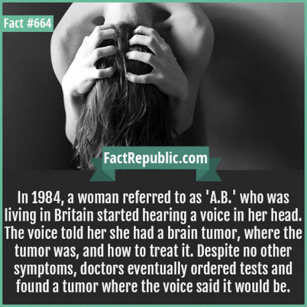 Everyday Life Facts