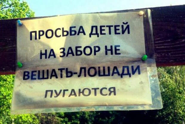 Прикольные запреты из России прикол, фото, юмор