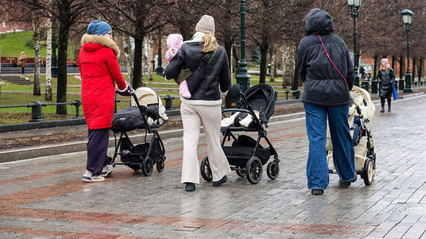 Эксперт Остапкович: реализация идеи увеличения маткапитала потребует до ₽1 трлн