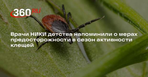 Врачи НИКИ детства напоминили о мерах предосторожности в сезон активности клещей