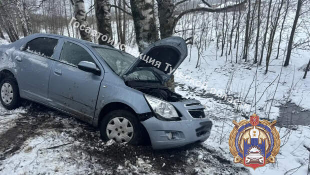 В Щёкинском районе женщина на иномарке врезалась в дерево