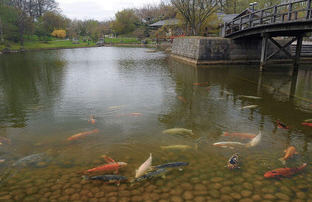 Japanse Tuin (Хассельт, Бельгия)