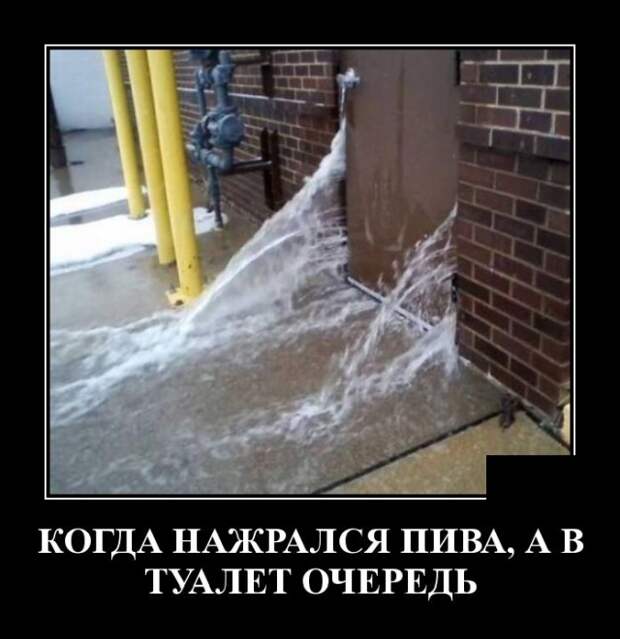 Демотиваторы (20 фото)