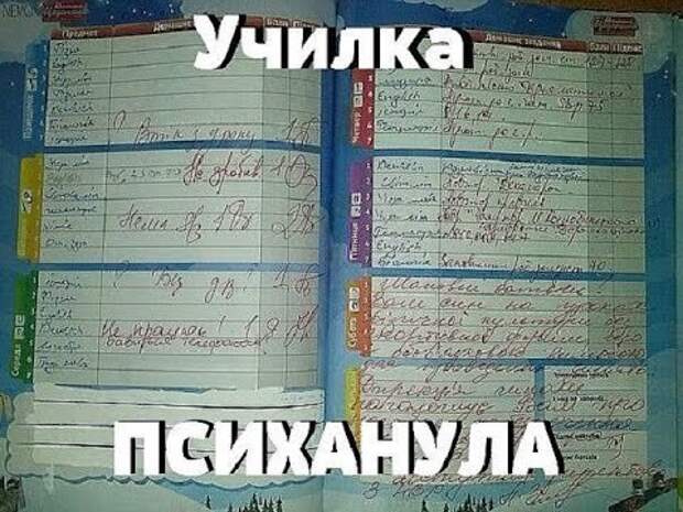 Школьные будни: приколы о годах, проведённых за партой