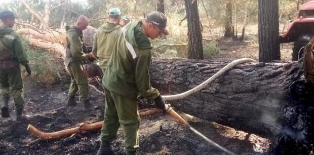 В Угловском районе продолжают ликвидировать крупный лесной пожар