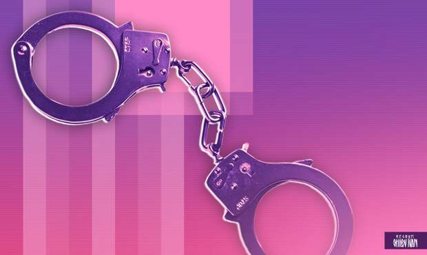 Арест полиция мвд