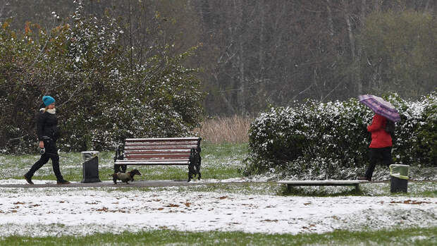 Гидрометцентр РФ: 29 апреля в Москве ожидаются дожди, мокрый снег и до +5°C