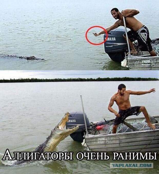 Картинки из ваших этих итернетов...3
