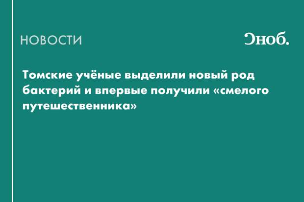 Томские учёные выделили новый род бактерий и впервые получили «смелого путешественника»
