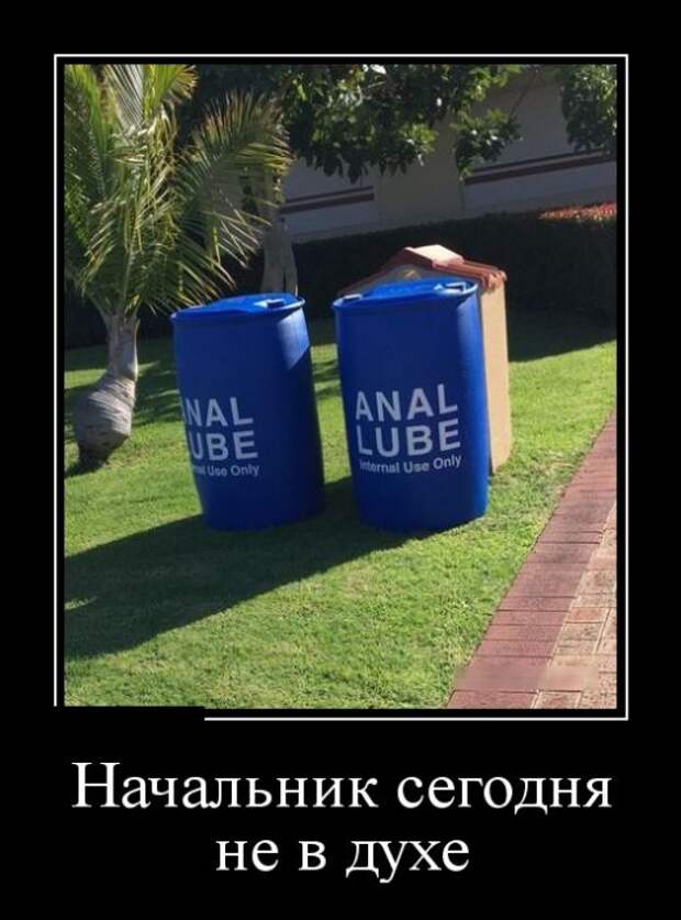 Демотиваторы (30 фото)