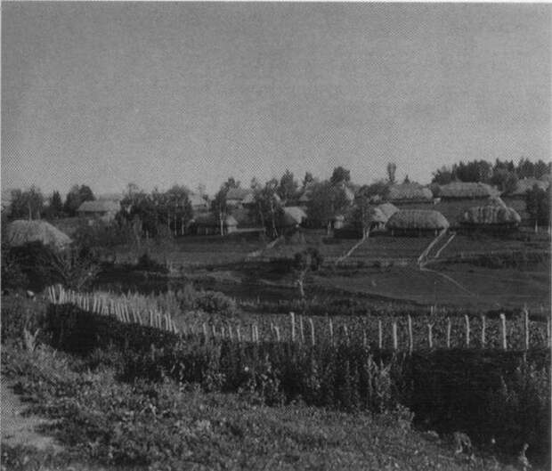 Деревня Ясная Поляна. Фотография «Шерер, Набгольц и К0». 1892 г.