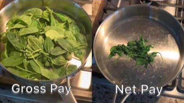 50 Best Damn Photos On The Internet - December's Best New Memes