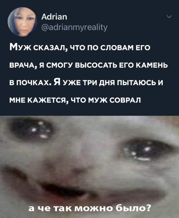 www.vsyako.net