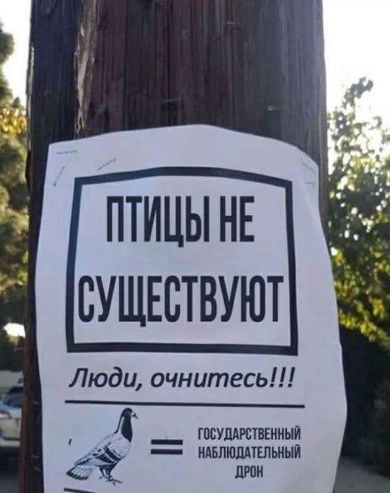 Всяческие картинки