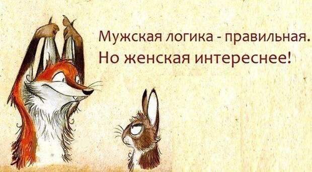 Смешные фразы из жизни женщин: Вы будете смеяться