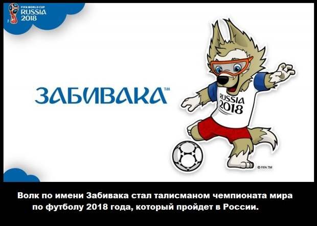 post-3562-0-98601700-1477139149.jpg