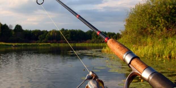 В Совете Федерации предложили сделать платной всю рыбалку