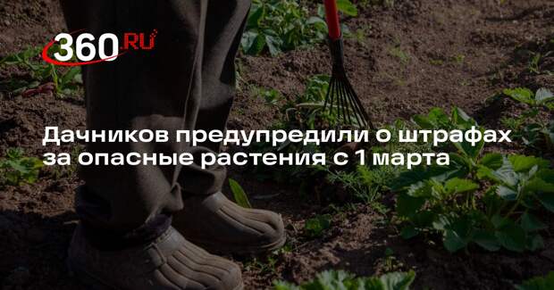 Юрист Русяев: за опасные растения на даче могут оштрафовать до 700 тысяч рублей