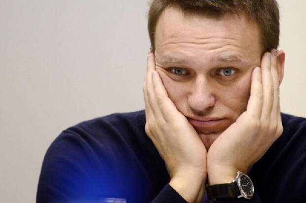 Почему Армен Гаспарян назвал Навального «животным»