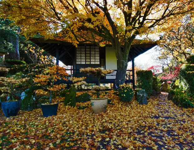 Irish National Stud & Japanese Gardens