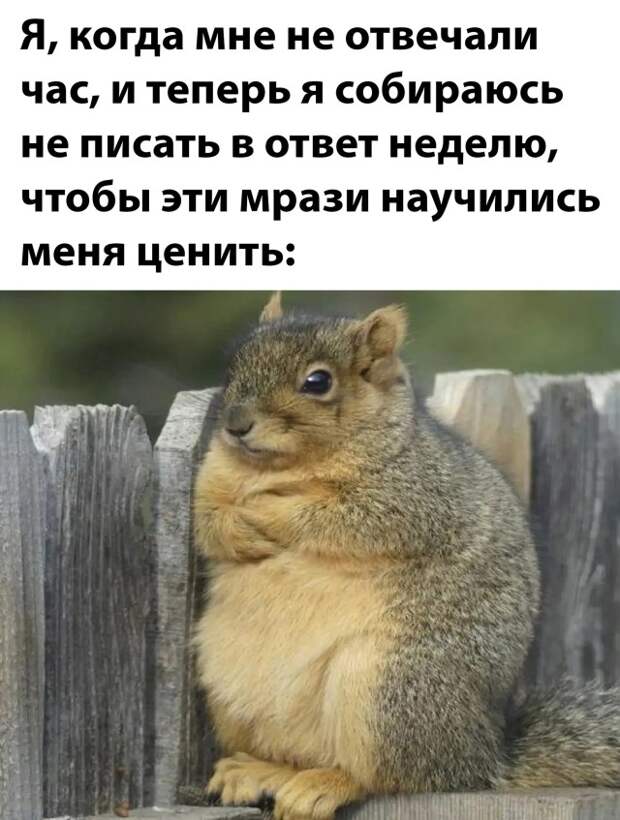 Смешные картинки 11 ноября 2021 года