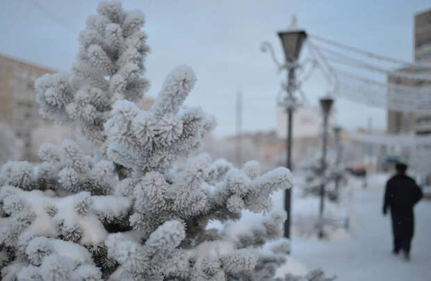 Представители бизнеса рассказали об участии в проекте "Зима в Москве"