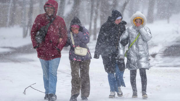 Зима ожидается морознее предыдущей: Вильфанд дал подробный прогноз