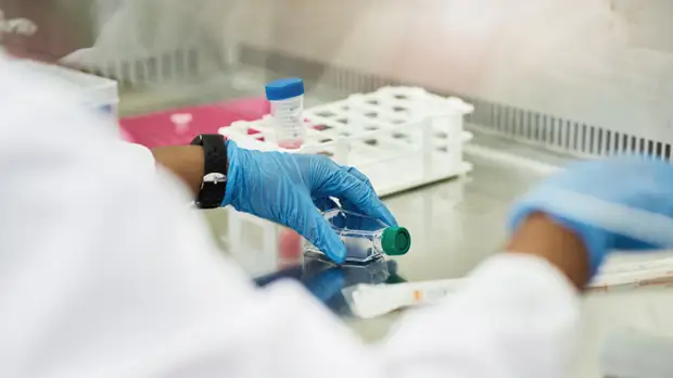 В Пермском крае подтвердили 419 случаев коронавируса за сутки